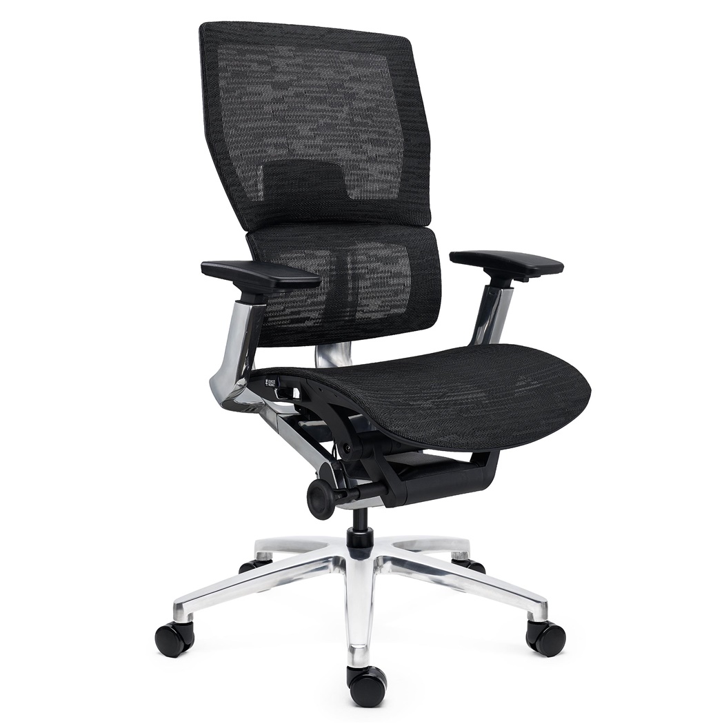 DEMO# Chaise Ergonomique ERGOPLUS, 100% Ajustable, Utilisation Intensive 8h, en Maille, Noir