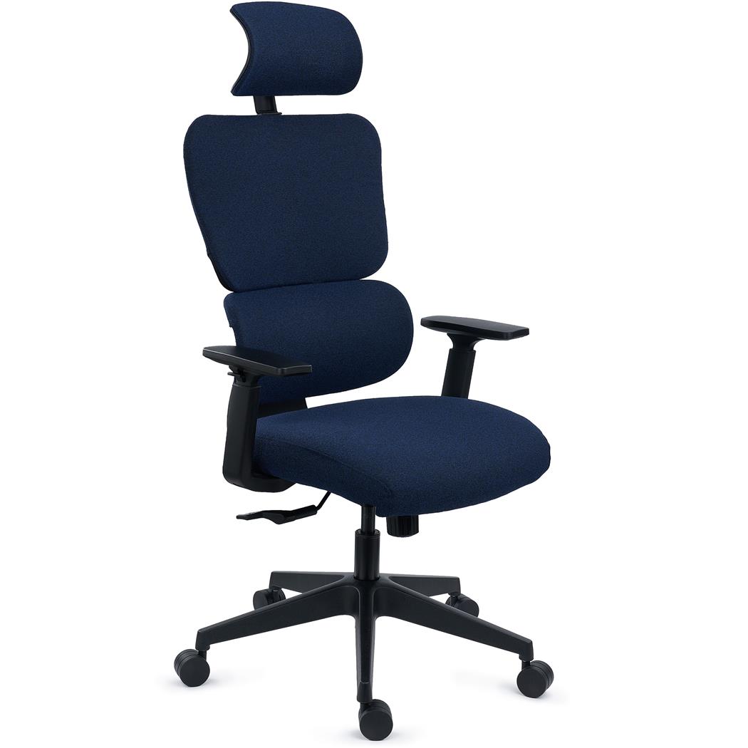 DEMO# Chaise ergonomique TUDOR, Design Exceptionnel, Usage Intensif 8H, Maille Rembourrée, Bleu