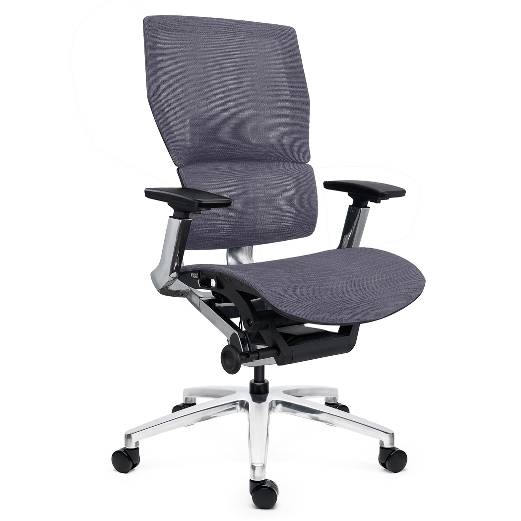 DEMO# Chaise Ergonomique ERGOPLUS, 100% Ajustable, Utilisation Intensive 8h, en Maille, Gris