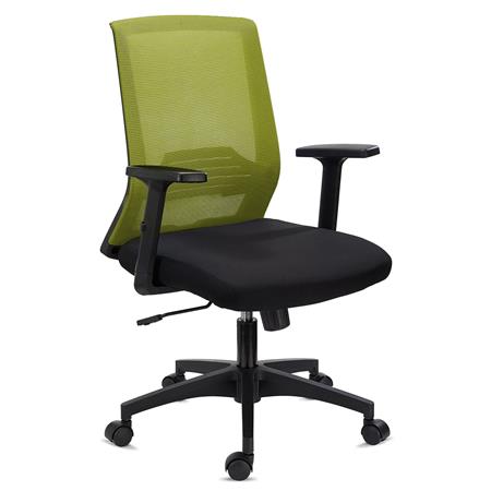 DEMO# Chaise de Bureau ACTIVE, Support Lombaire, Accoudoirs Ajustables, Confortable et Robuste, Vert